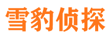 定日外遇出轨调查取证